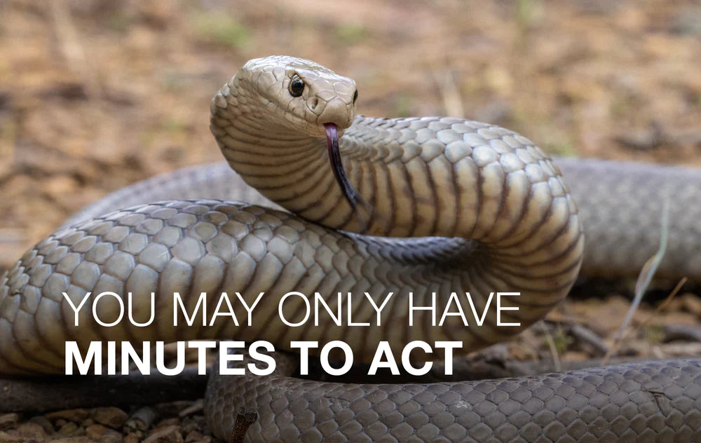 snake